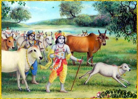 अनन्तगोपाल रिसालका रचनाहरु: Lord Krishna,the Cow Protector - Story -17