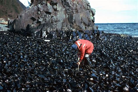 Wounded Wilderness: The Exxon Valdez Oil Spill 30 Years Later | Hakai Magazine