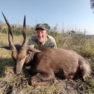 Cape Bushbuck Hunting | AfricaHunting.com