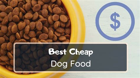 10 Best Cheap Dog Food 2021- Affordable, Yet Quality Options