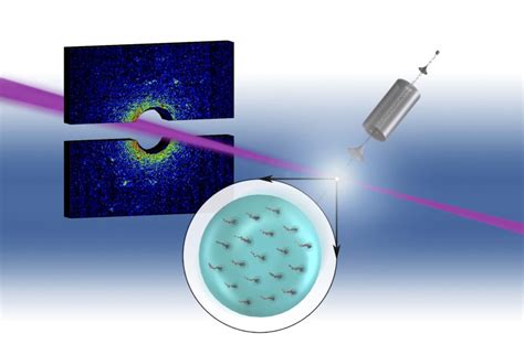 Researchers Map Quantum Vortices Inside Superfluid Helium Nanodroplets ...