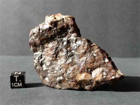 Meteorites For Sale - NWA 12415 HED Achondrite Eucrite Meteorite End ...