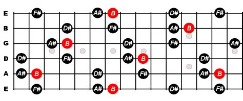 B Major 7th Arpeggio For Guitar - Constantine Guitars