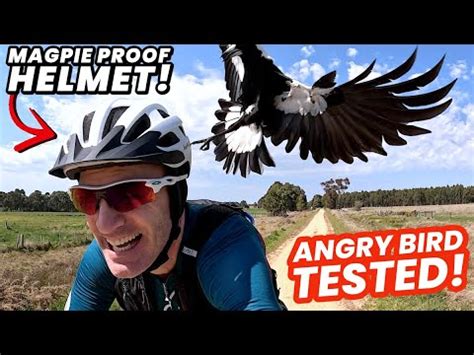 New "Magpie Proof" Helmet Tested Against The Most AGGRESSIVE Aussie ...