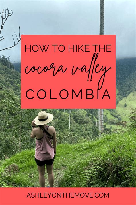 Everything You Need to Know About Hiking the Cocora Valley