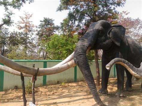 Shivalik Fossil Park - Travel bug Vishal