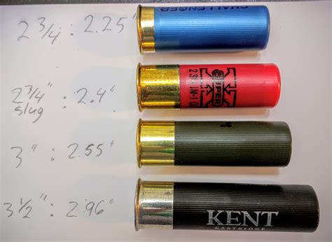 Free photo: Shotgun shells - Ammo, Ammunition, Bullets - Free Download - Jooinn