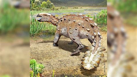 Tail or Sword? Bizzare Fossil from Chile Reveals Dinosaur Species With ...