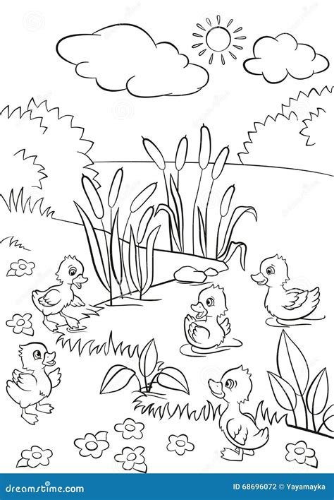5 Little Ducks Coloring Page - vrogue.co