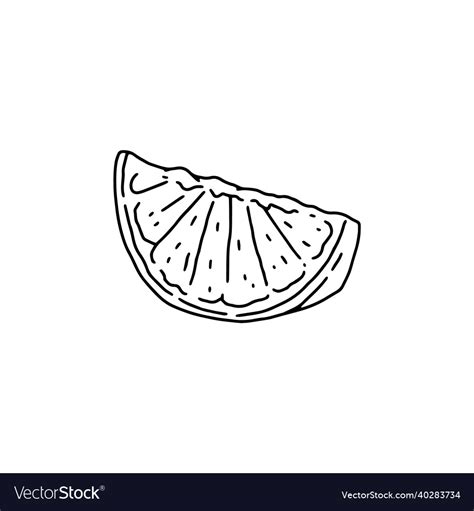 Slice of orange with peel hand drawn sketch style Vector Image