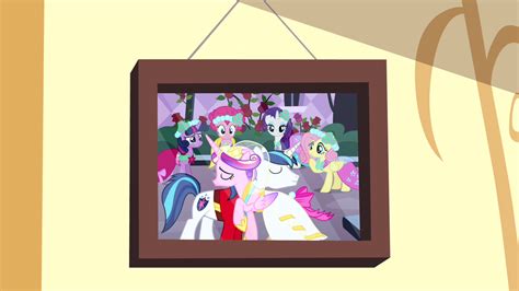 Photo of Canterlot wedding | Mlp my little pony, My little pony friendship, My little pony