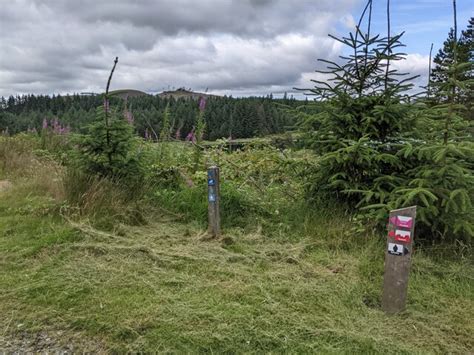 Trail markers at the junction © David Medcalf cc-by-sa/2.0 :: Geograph Britain and Ireland
