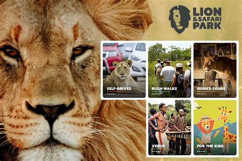 Lion & Safari Park - Cradle of Humankind, North West, Broederstroom Information | WhereToStay.co.za