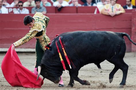 TC: debate sobre demanda contra la corrida de toros será transmitida en vivo | TVPerú