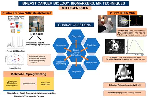 Metabolites | Free Full-Text | Magnetic Resonance Imaging (MRI) and MR ...