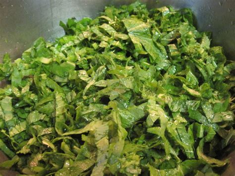 Fresh Turnip Greens Salad – RAW (With images) | Turnip greens, Turnip, Greens