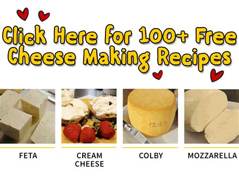 Click here for over 100 free cheese making recipes | How to make cheese ...