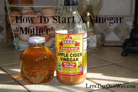 Make Your Own Vinegar "Mother" | Apple cider vinegar mother, Vinegar with the mother, How to ...