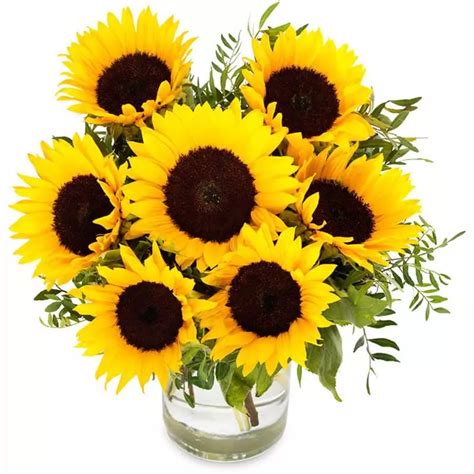 Bouquet of Sunflowers