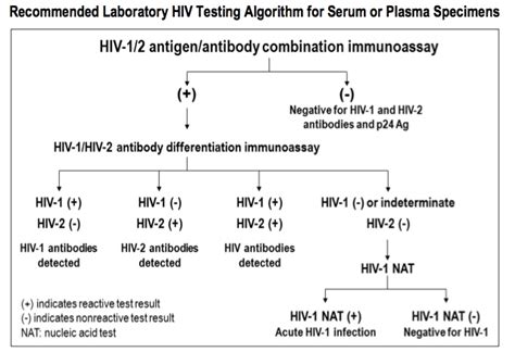 CDC Nixes HIV Western Blot in Latest Testing Guidelines - HIV and ID ...