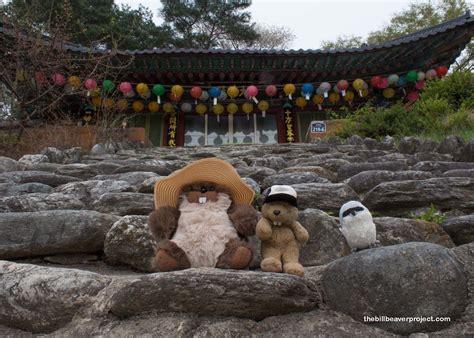 Bukhansan National Park! - The Bill Beaver Project