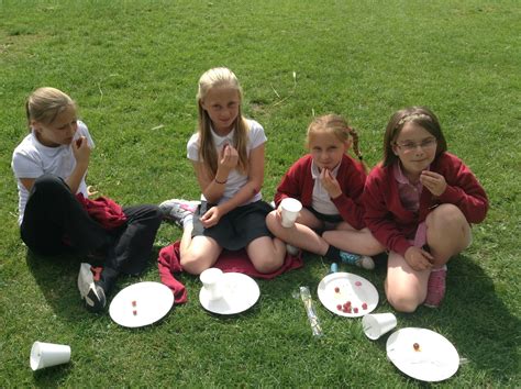 Cholsey Primary School Special Events: Dolphins Picnic