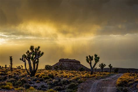 Nevada Mojave Desert Sunset | Jeff Sullivan | Flickr