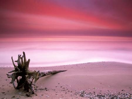 Pink Beach Sky - Sky & Nature Background Wallpapers on Desktop Nexus ...