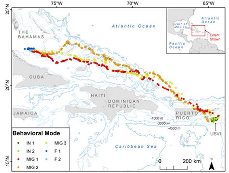 Sea Turtle Migration - All Turtles