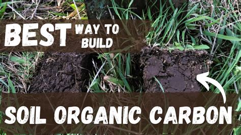 The FASTEST way to built Soil Organic Carbon | Liquid Carbon Pathway ...