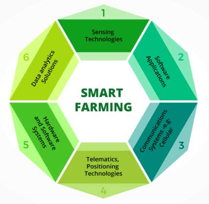 What is smart farming? And how it is helpful to overcome many agrarian challenges - Infocoverage.com