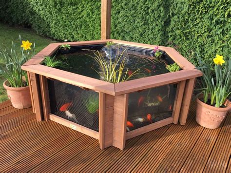 Clear View Garden Aquarium Lily Raised Pond with Fountain/UV Filter ...