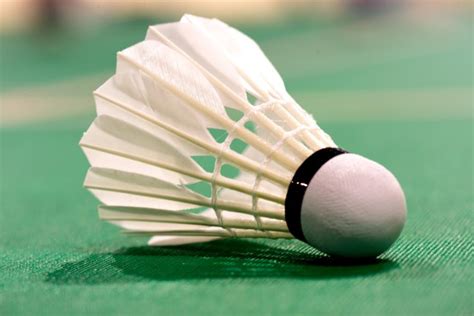 Badminton Equipment | Playo