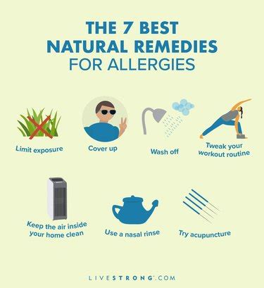 The 7 Best Natural Remedies for Seasonal Allergies (and 6 to Skip) | livestrong