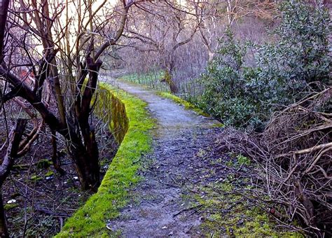 Secret Spots in the East Bay | Hiking trails, Most haunted, East bay