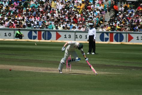 File:Pm cricket shots09 5729.jpg - Wikipedia