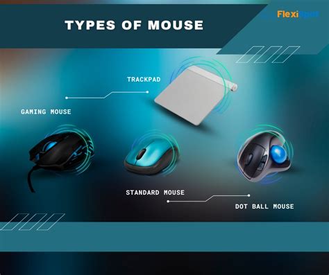 Various Types of Computer Mouse You Should Know | FlexiSpot