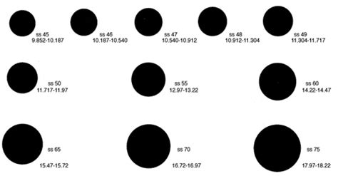 Actual kidney stone size chart - pleasegaret