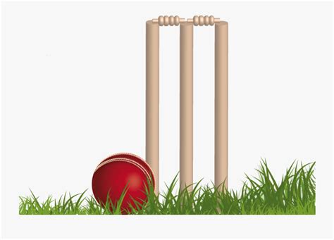 Cricket Clipart Cricket Stump - Cricket Png , Free Transparent Clipart - ClipartKey