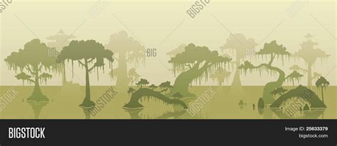 Swamp Background Vector & Photo (Free Trial) | Bigstock