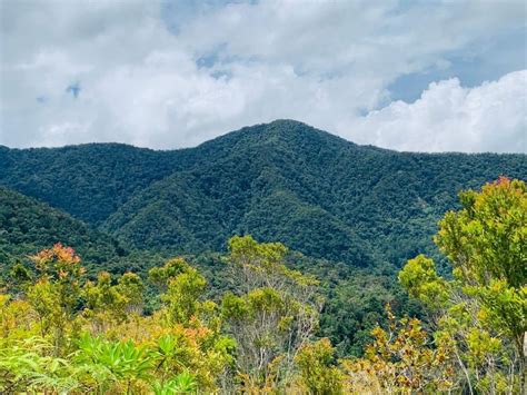 ENVIRONMENT: Pantaron Mountain Range may soon join protected area list ...