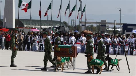 Hero’s Send-Off for Turkey Earthquake Rescue Dog - DogTime