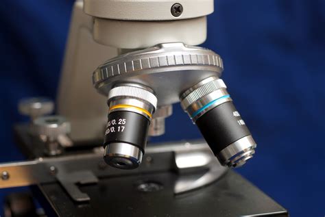 Optical microscope 5 Free Photo Download | FreeImages