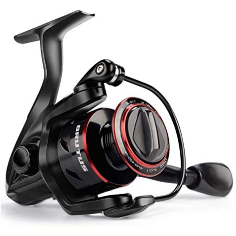 12 Best Fishing Reel Brands and Most Popular Reel Models - Red Fish Tour