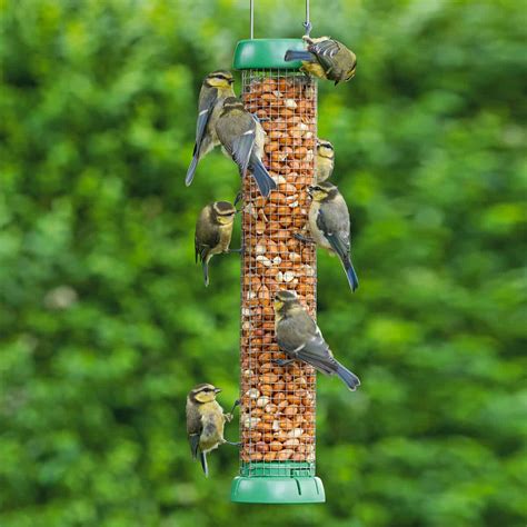 Peanut Feeders from Living with Birds