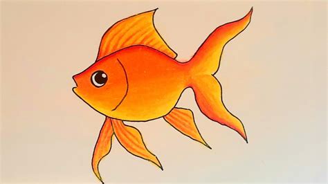 How to draw fish step by step how to draw a fish || how to draw ...