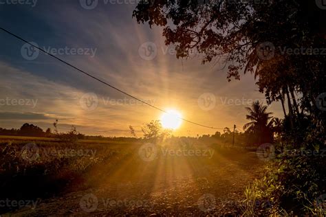 Panorama of scenic sunset with sunrays, silhouette of bush and trees 5667510 Stock Photo at Vecteezy