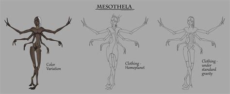 ArtStation - Mesothela Concept