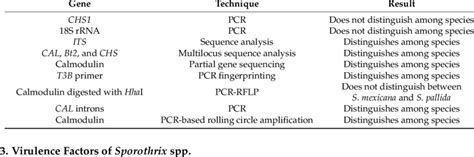 Several molecular studies for Sporothrix species identification ...