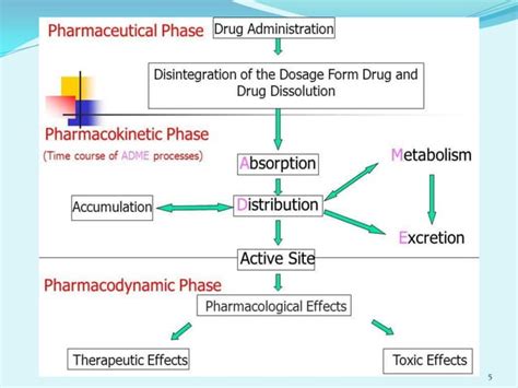 Biopharmaceutics: Mechanisms of Drug Absorption | PPT